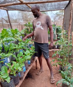 Greenhouse structure with shade netting, filled with various plants growing in recycled containers