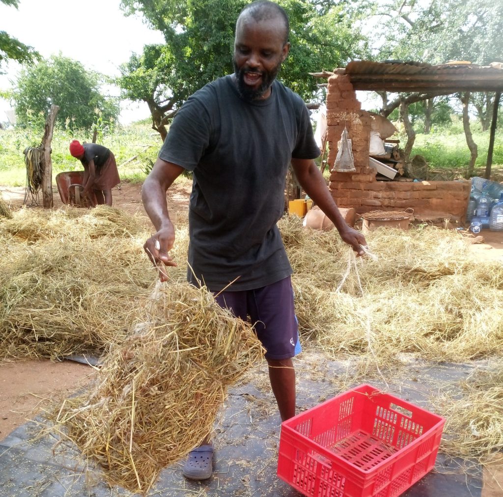 Farmers preparing hay with a focus on nutrient preservation and improved storage solutions in Kenya.